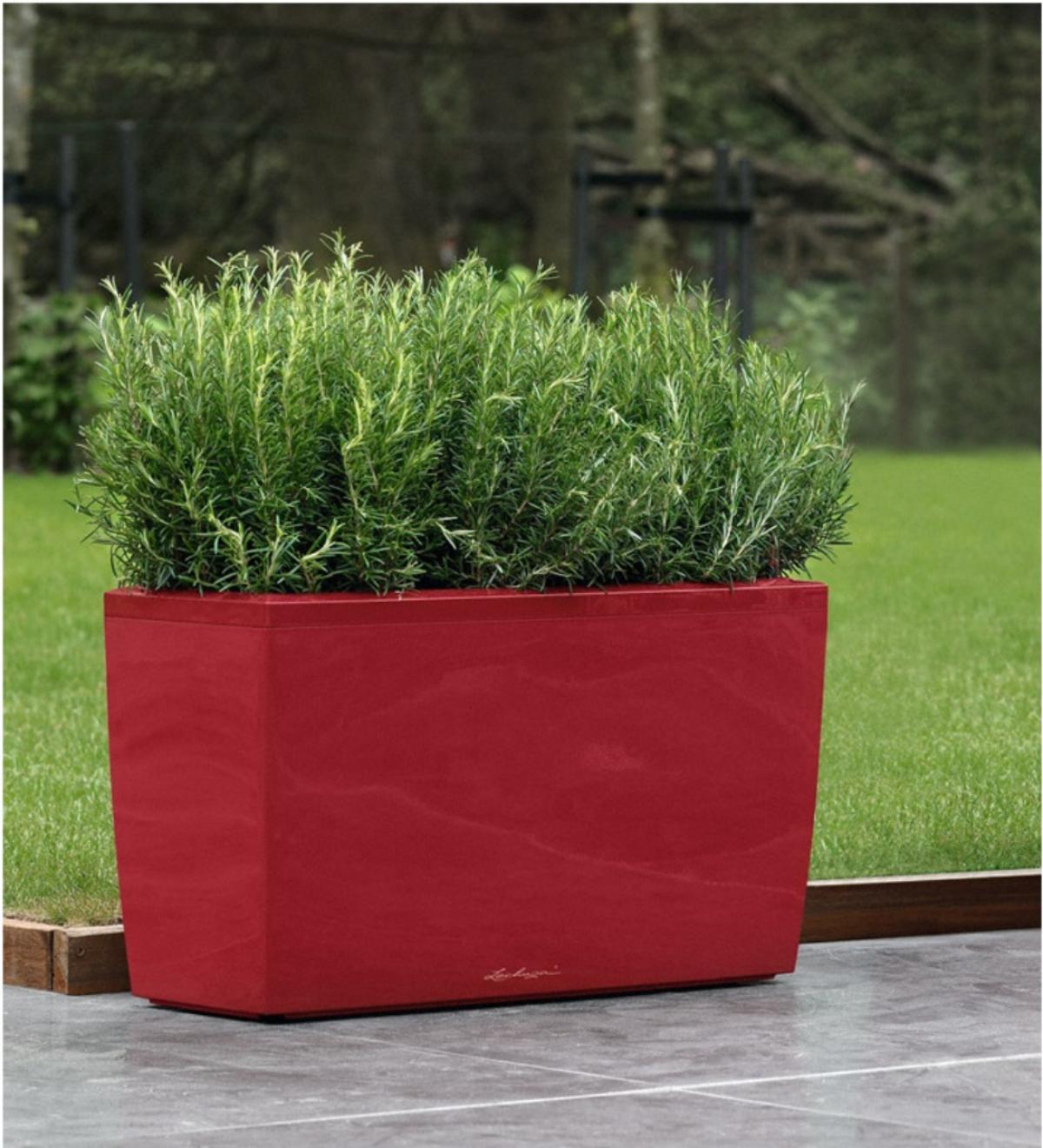LECHUZA CARARO Trough Poly Resin Self-watering Planter