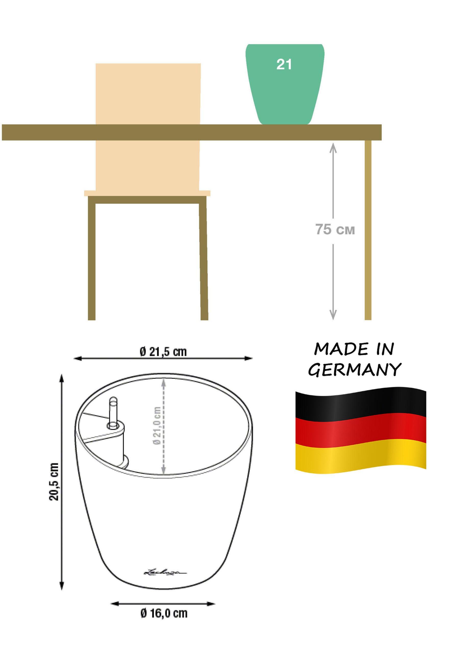 Schefflera in LECHUZA CLASSICO LS Self-watering Planter, Total Height 60 cm