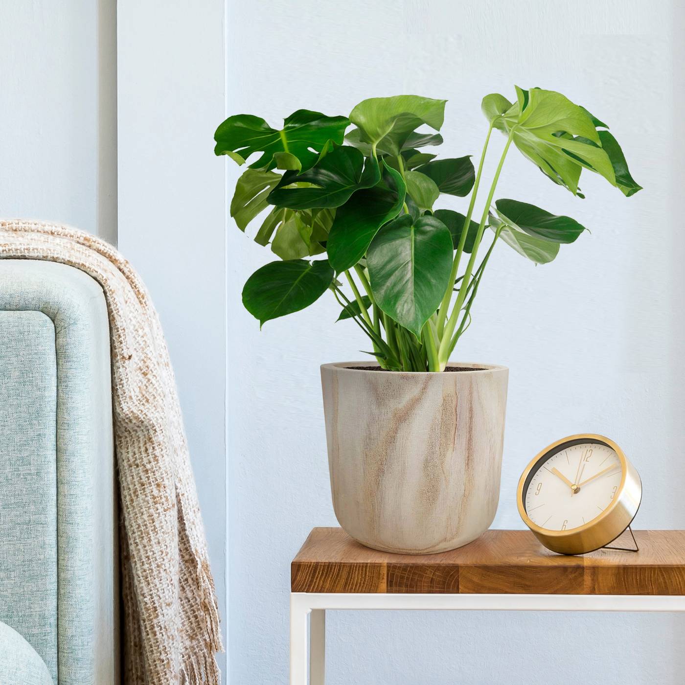 HORTICO CRAFT Wooden House Planter Round Indoor Plant Pot for House Plants with Waterproof Liner