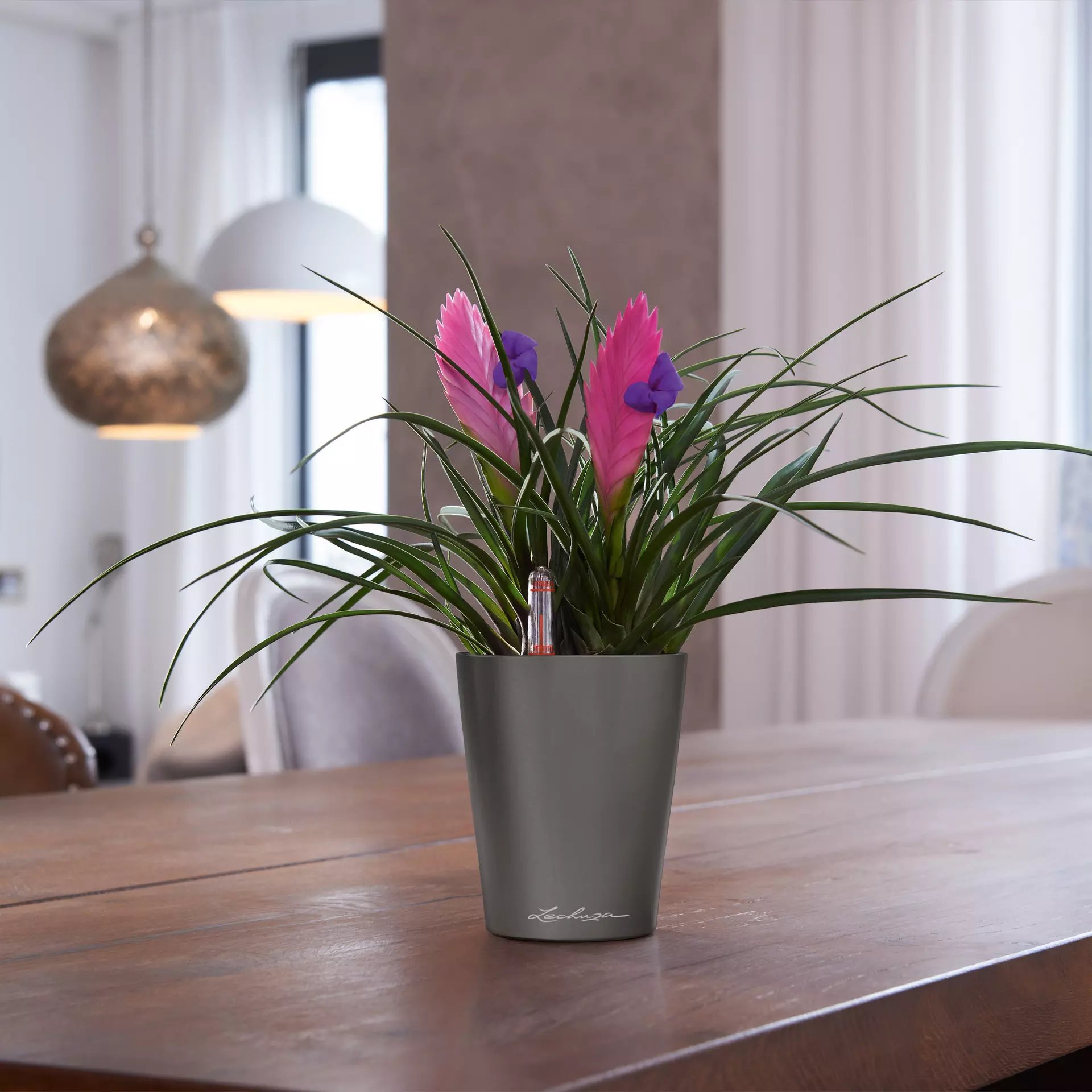 LECHUZA DELTINI|MINI-DELTINI Round Poly Resin Indoor Self-watering Planter