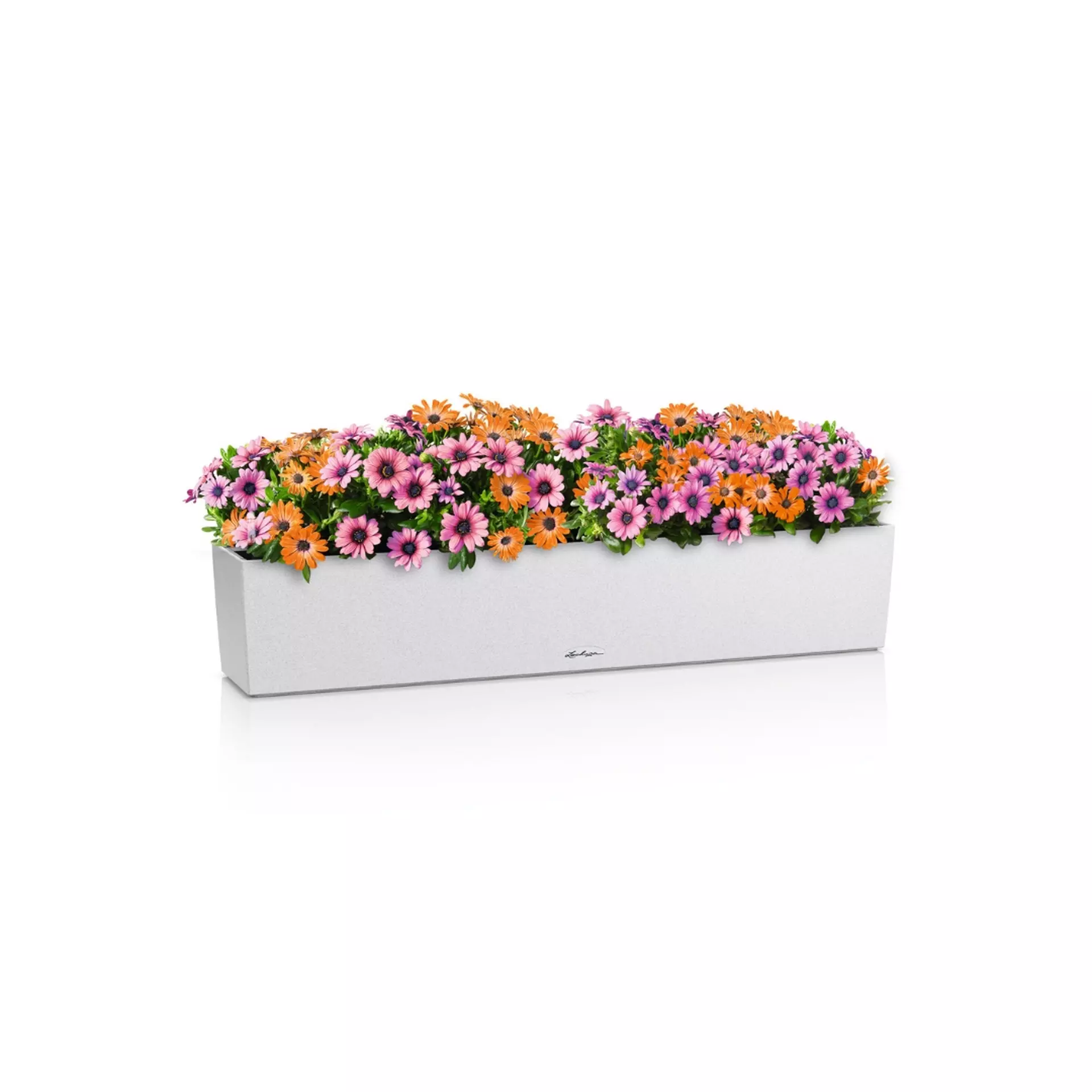 LECHUZA BALCONERA Stone Trough Poly Resin Self-watering Planter