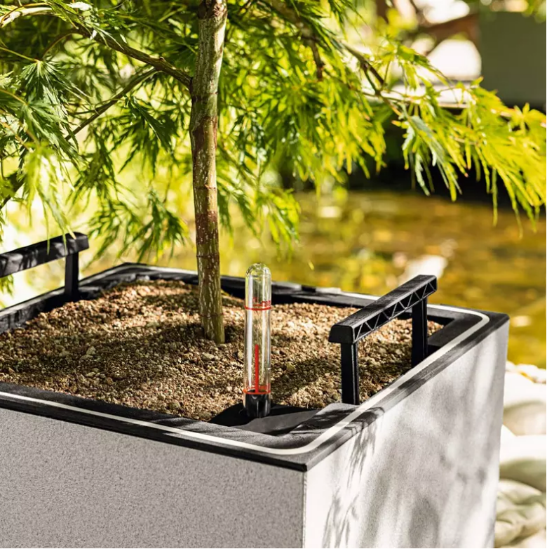 LECHUZA CANTO Stone High LED Square Tall Poly Resin Self-watering Planter