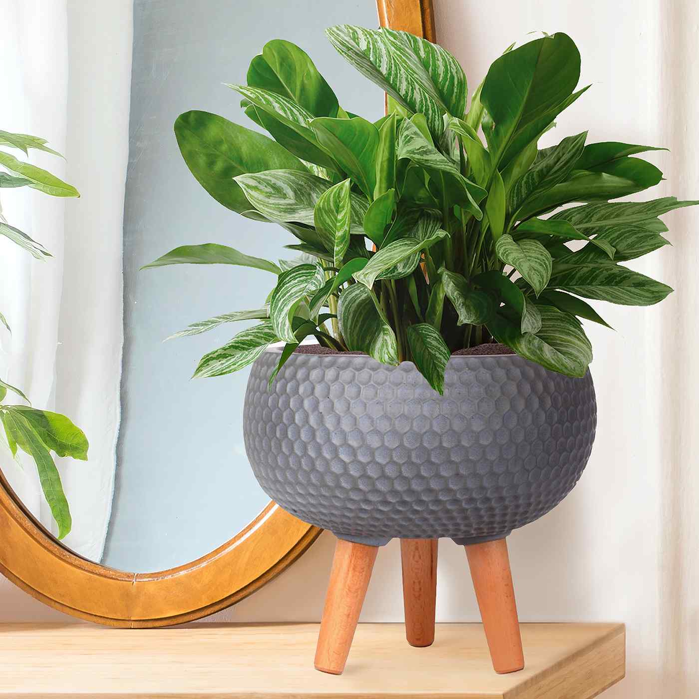 IDEALIST Lite Honeycomb Style Bowl Planter on Legs, Round Pot Plant Stand Indoor