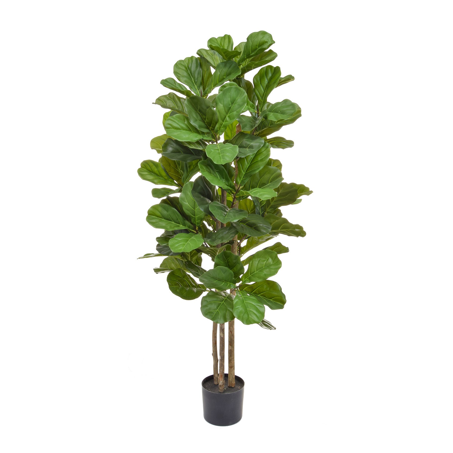 Fiddle Artificial Tree Plant