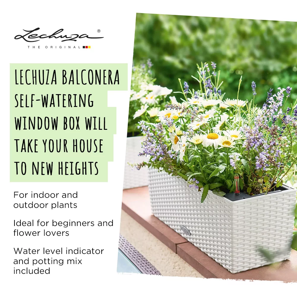 LECHUZA BALCONERA Cottage Trough Poly Resin Self-watering Planter