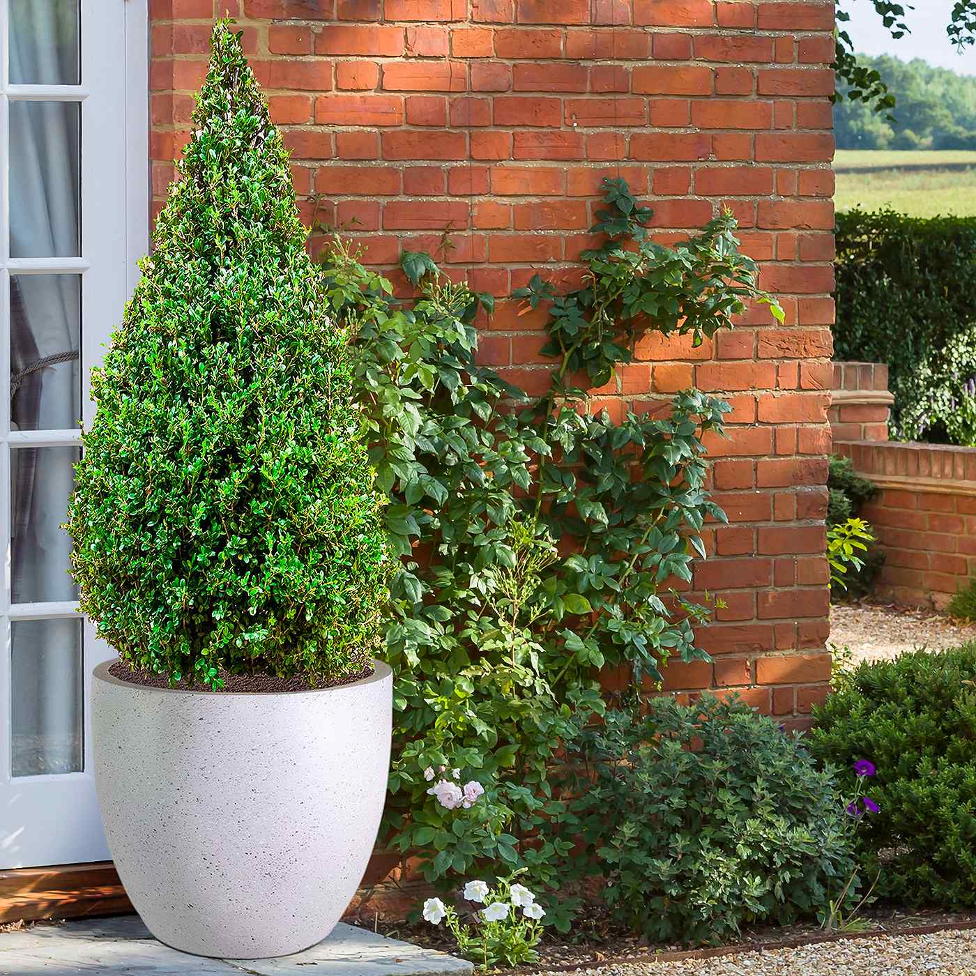 IDEALIST Lite Contemporary Light Concrete Egg Planter