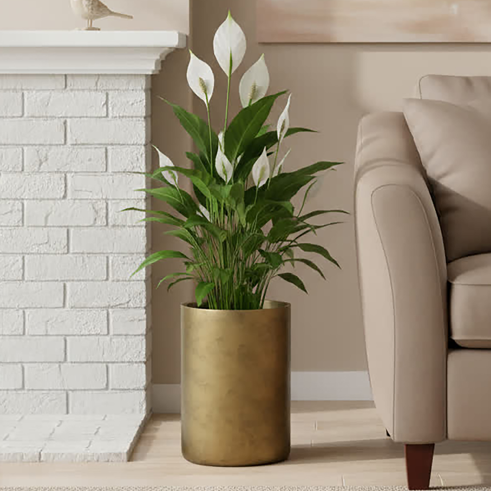 IDEALIST Lite Tall Round Metallic Indoor Planter