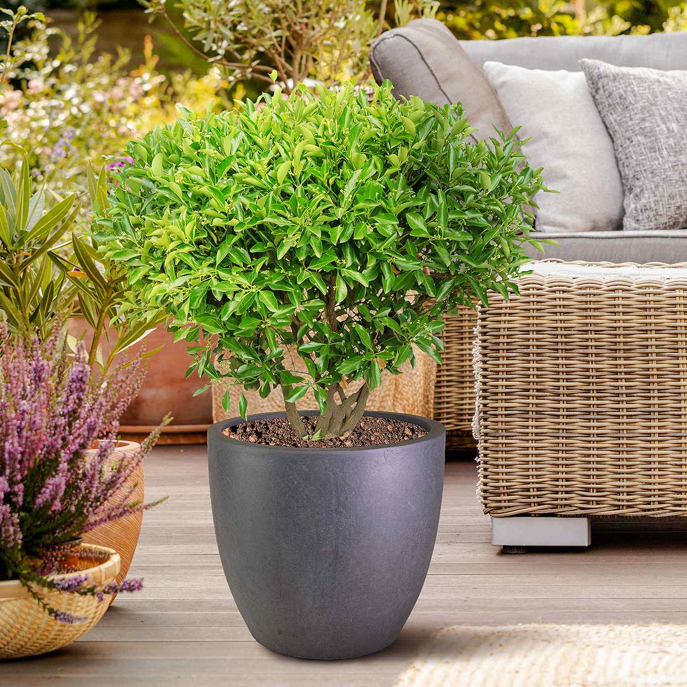 IDEALIST Lite Contemporary Light Concrete Egg Planter