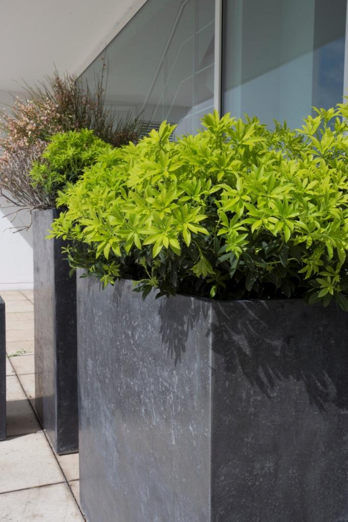Raised Trough Concrete GRC Planter by Fleur Ami DIVISION