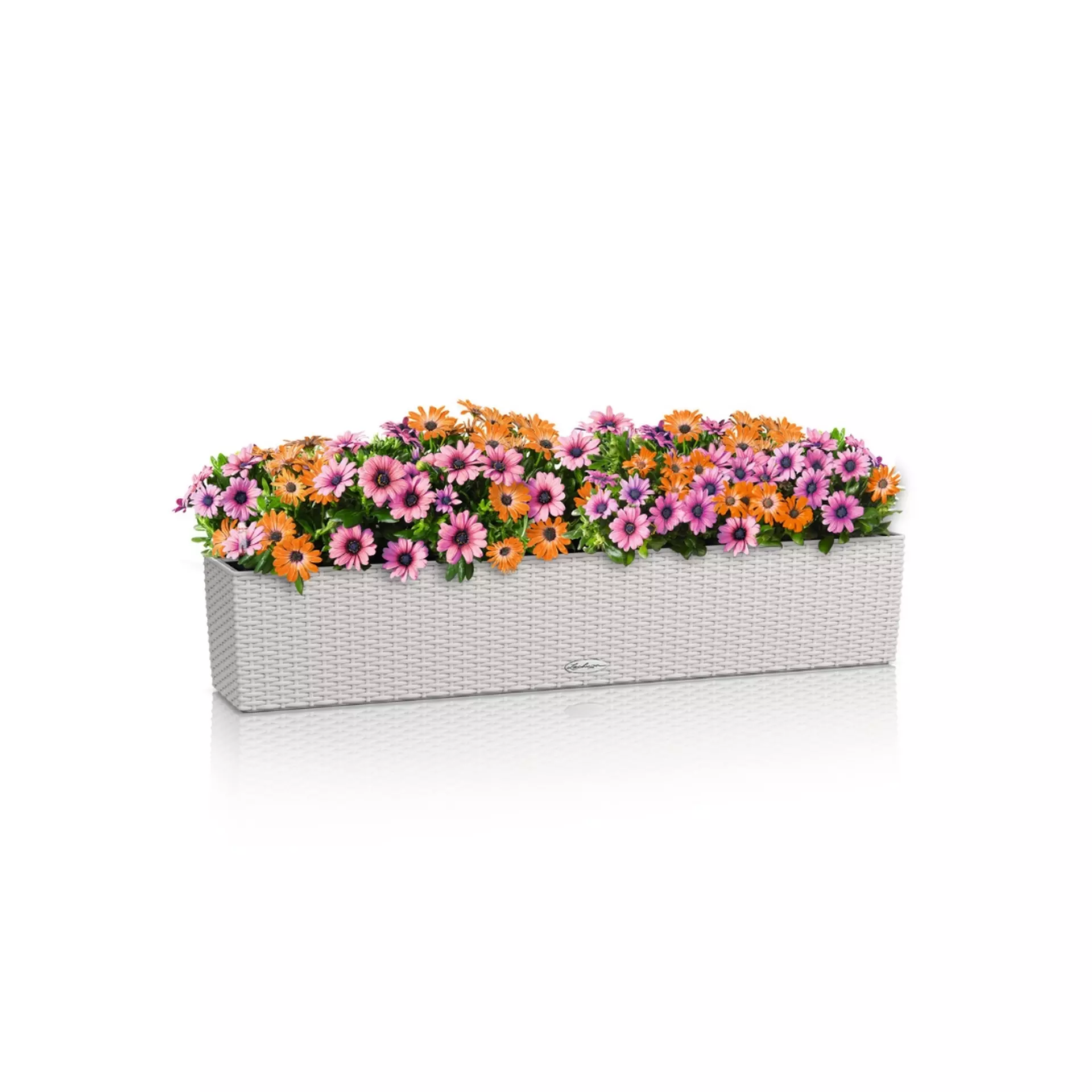 LECHUZA BALCONERA Cottage Trough Poly Resin Self-watering Planter