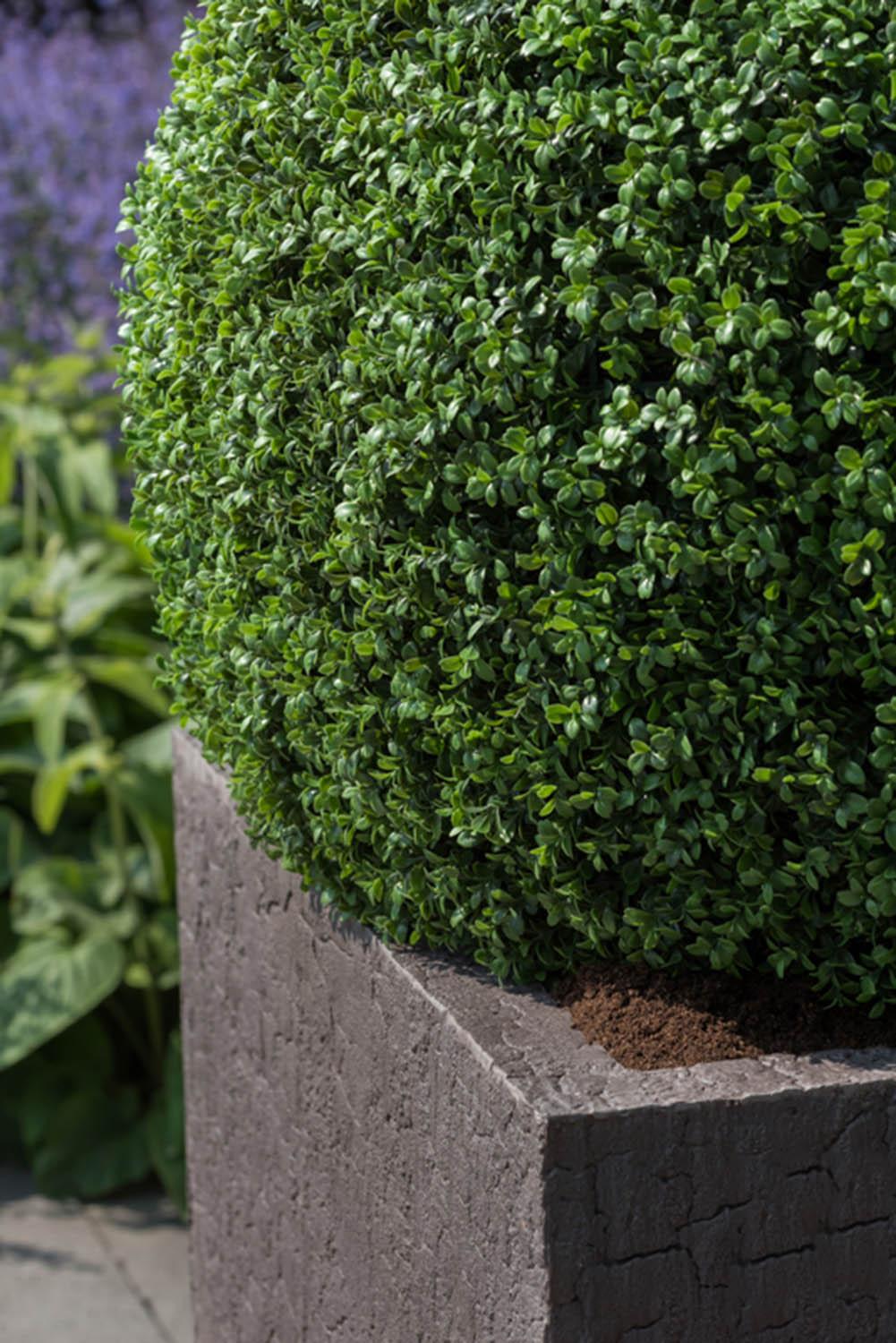 Fibrestone Jumbo Sundried Square Planter by Idealist Premium