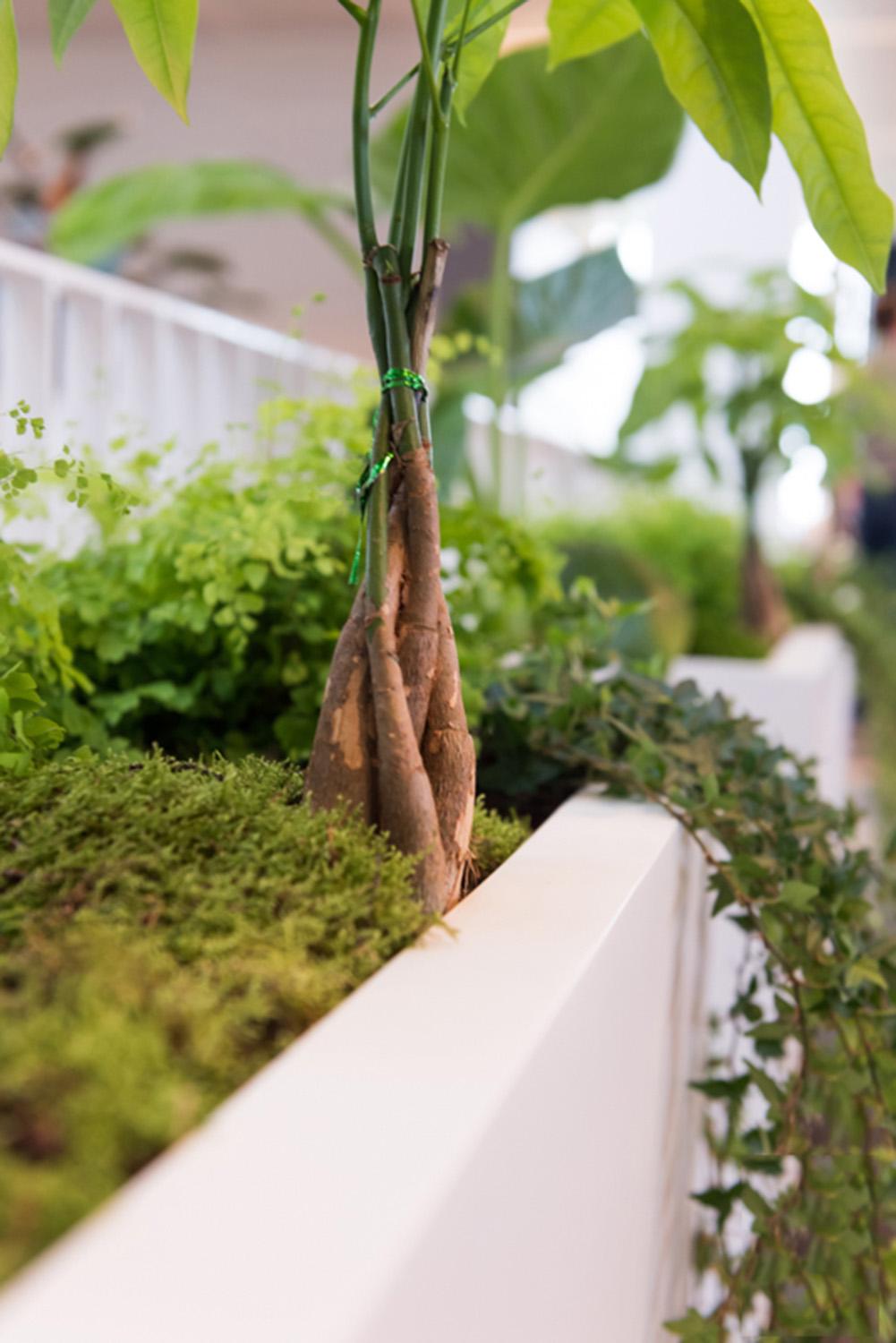 Fibrestone Jort Rectangle Planter by Idealist Premium