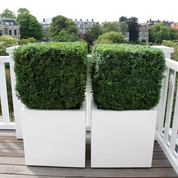 Square Fiberstone Planter by Idealist Premium