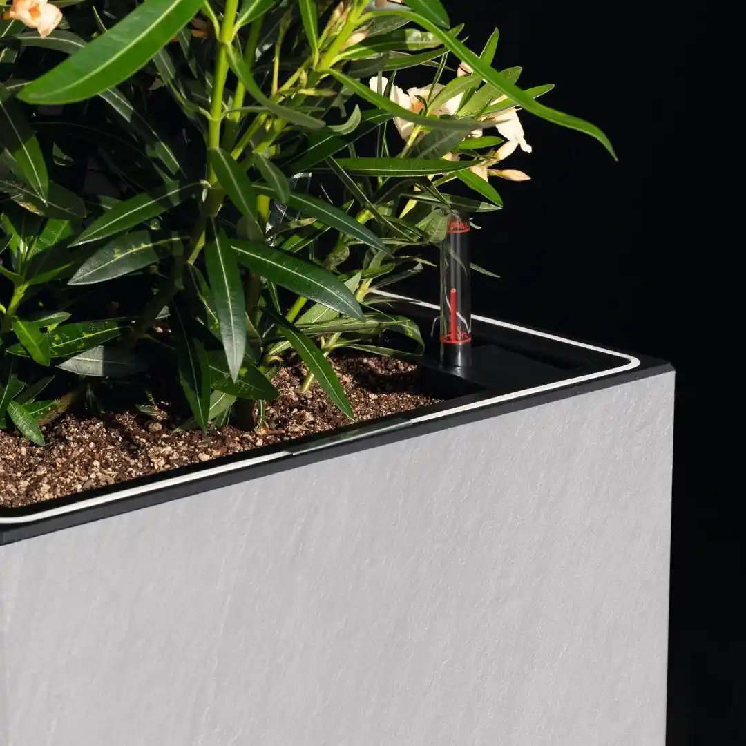 LECHUZA CANTO Slatestone Low Square Poly Resin Self-watering Planter