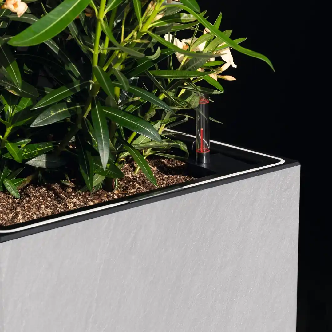 LECHUZA CANTO Slatestone Low Square Poly Resin Self-watering Planter