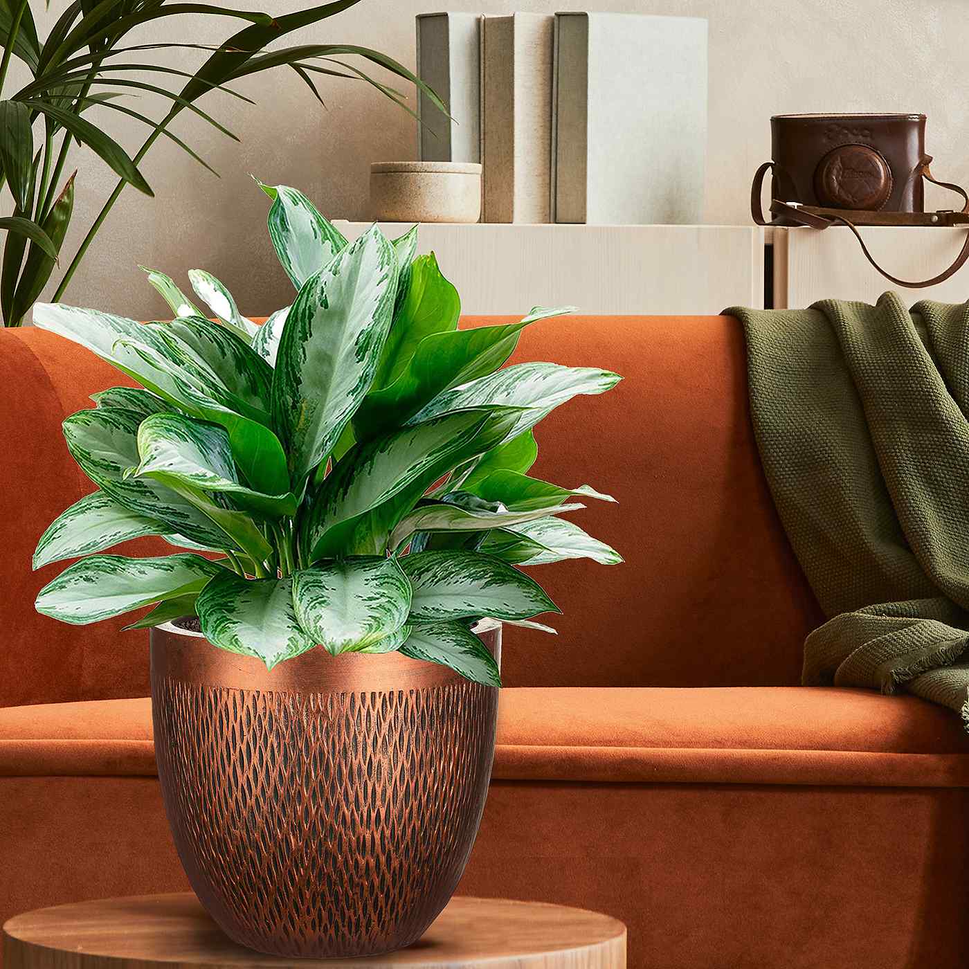 IDEALIST Lite Mesh Style Round Indoor Planter