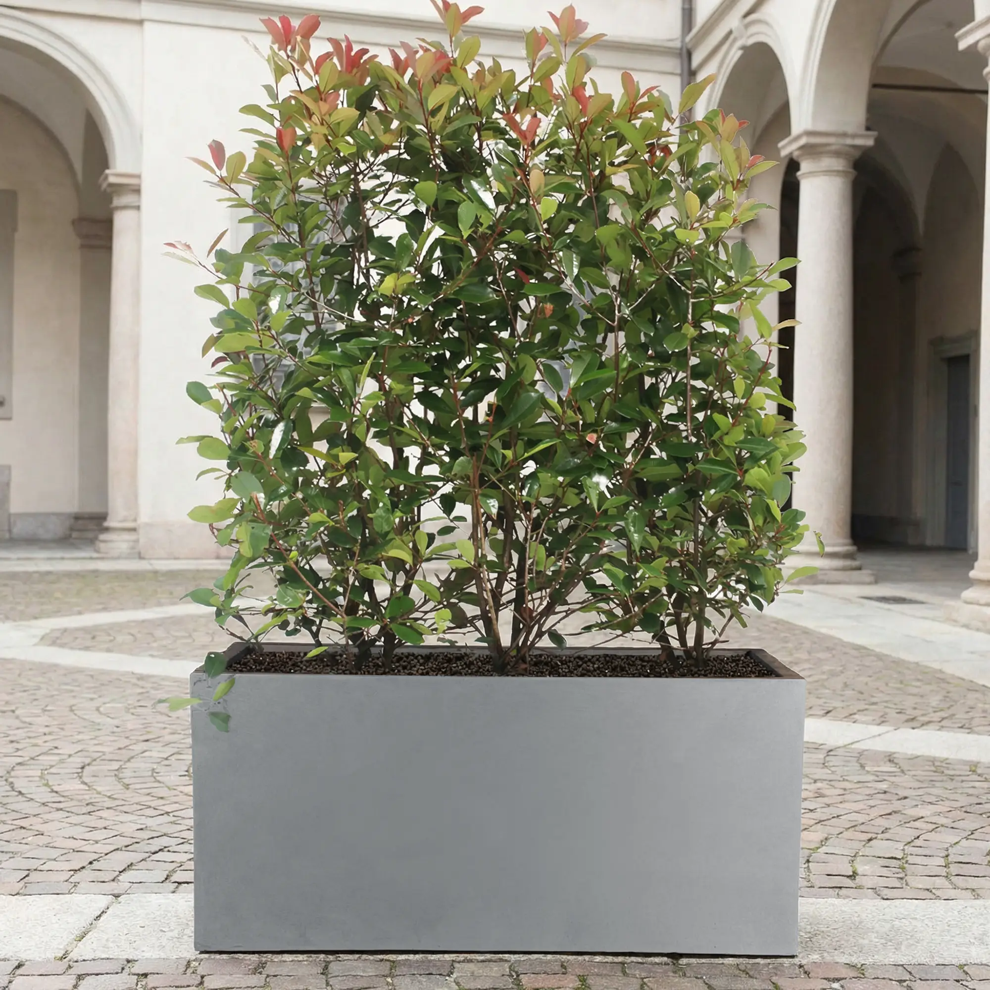 IDEALIST Lite Contemporary Light Concrete High Trough Planter