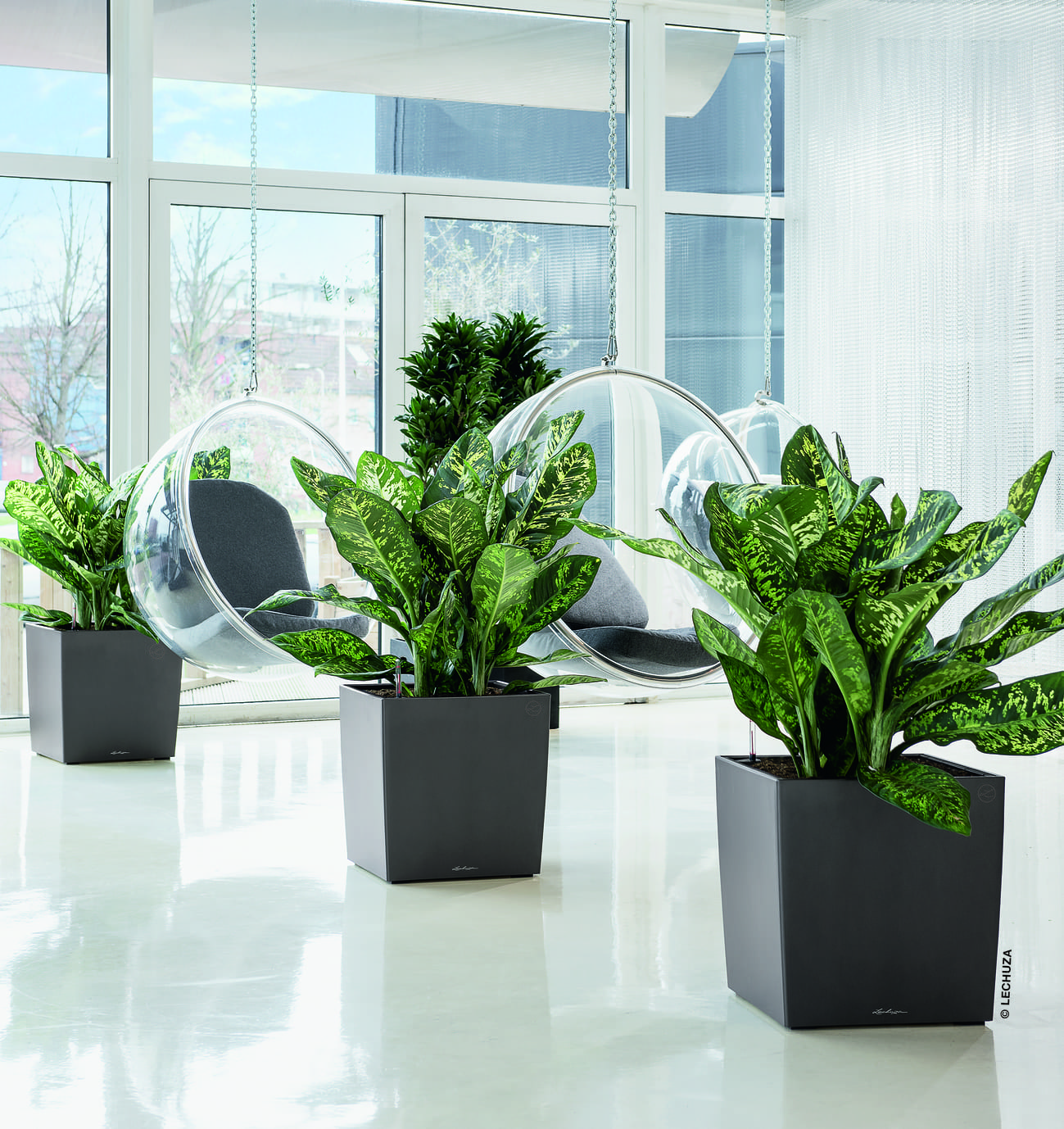 From minimalistic to spectacular: choosing planters  for different office spaces