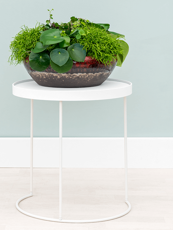 Amora Bowl Glazed Clay Planter