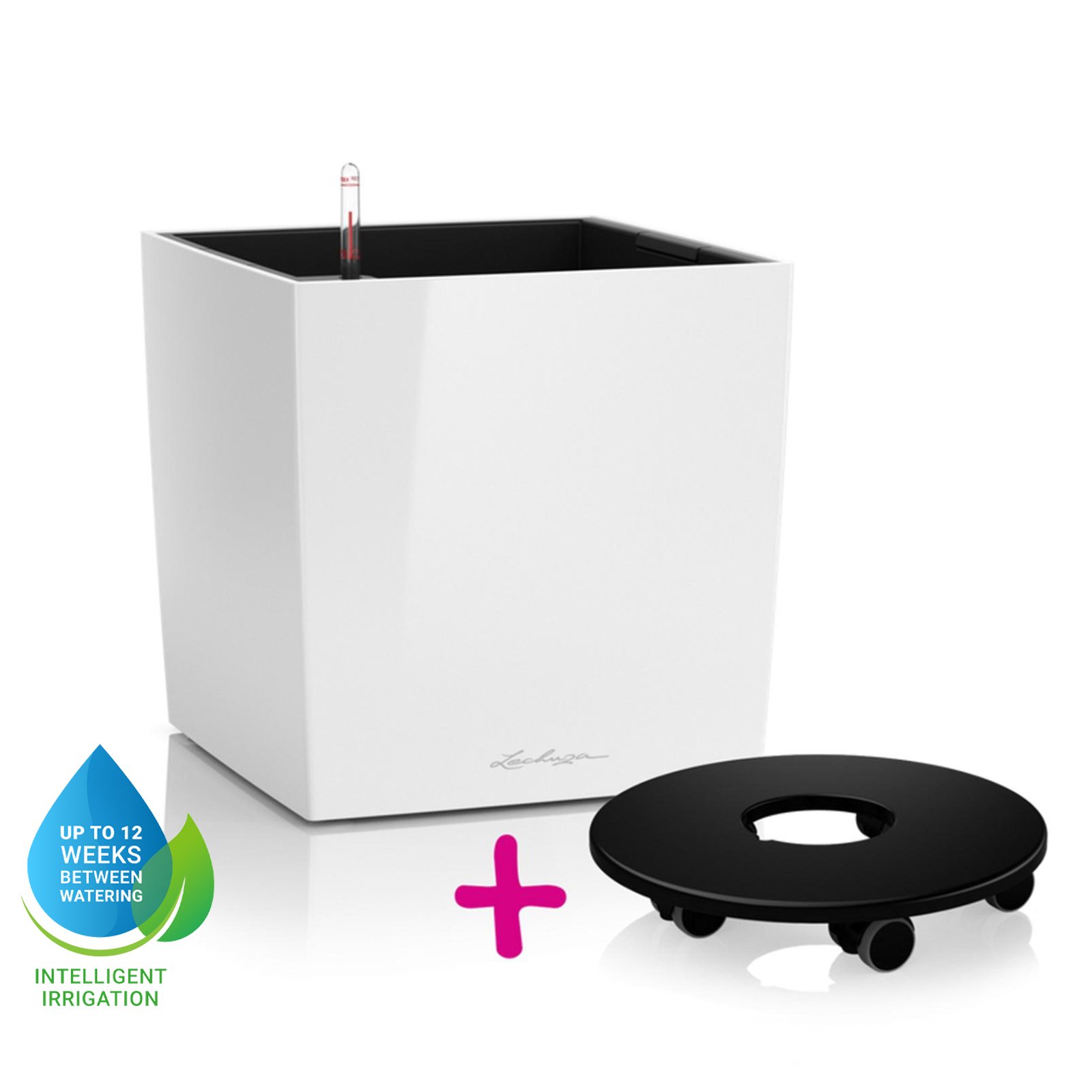 LECHUZA CUBE Square Poly Resin Self-watering Planter