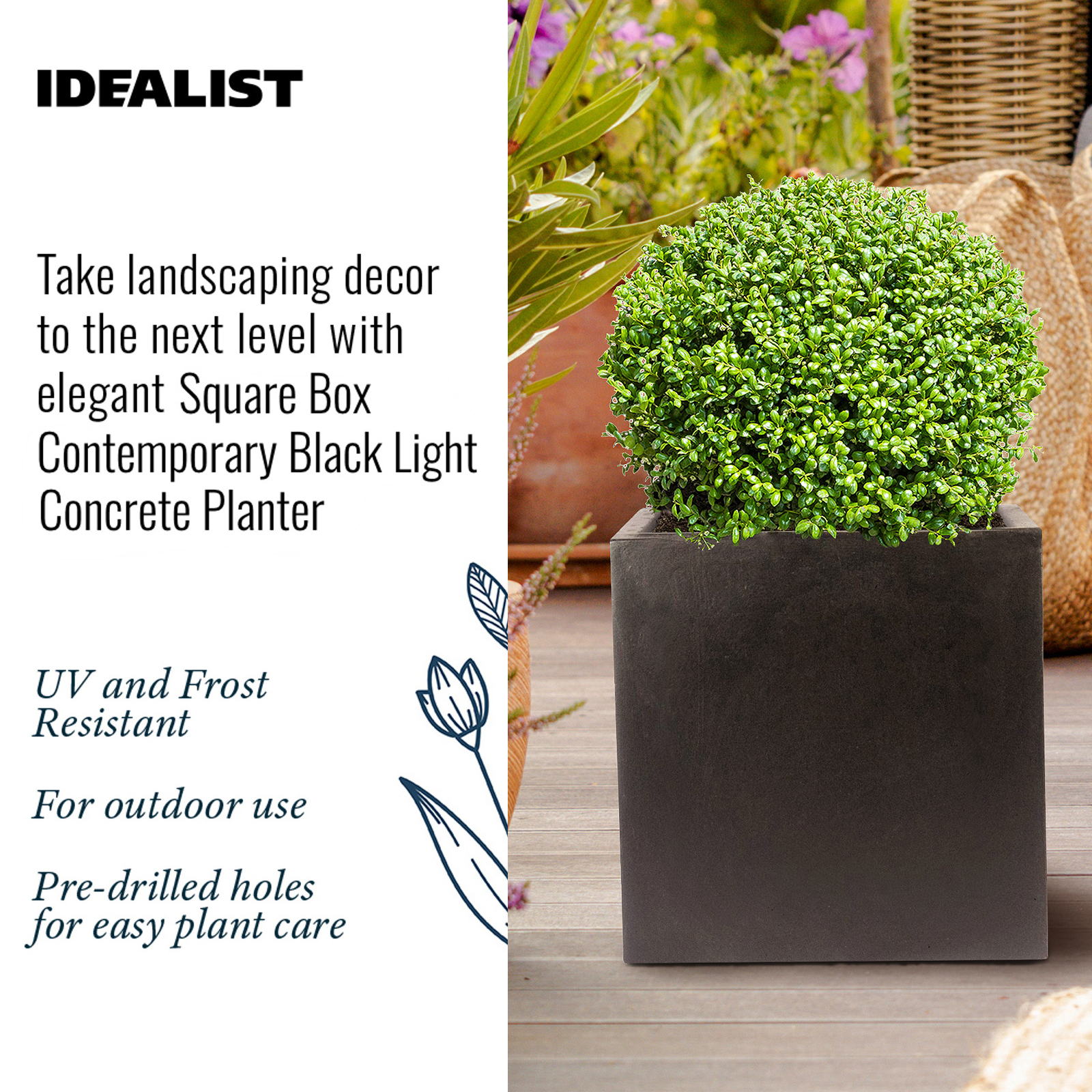 IDEALIST Lite Square Box Contemporary Light Concrete Planter Set
