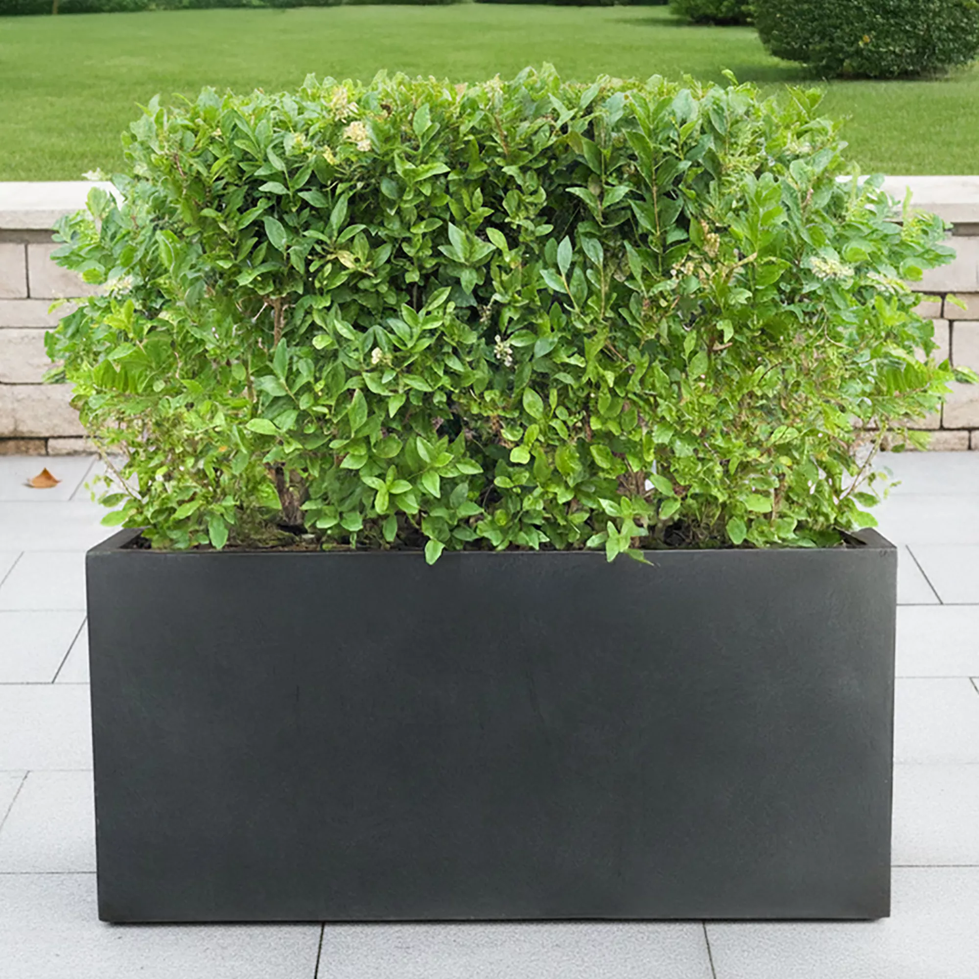 IDEALIST Lite Contemporary Light Concrete High Trough Planter