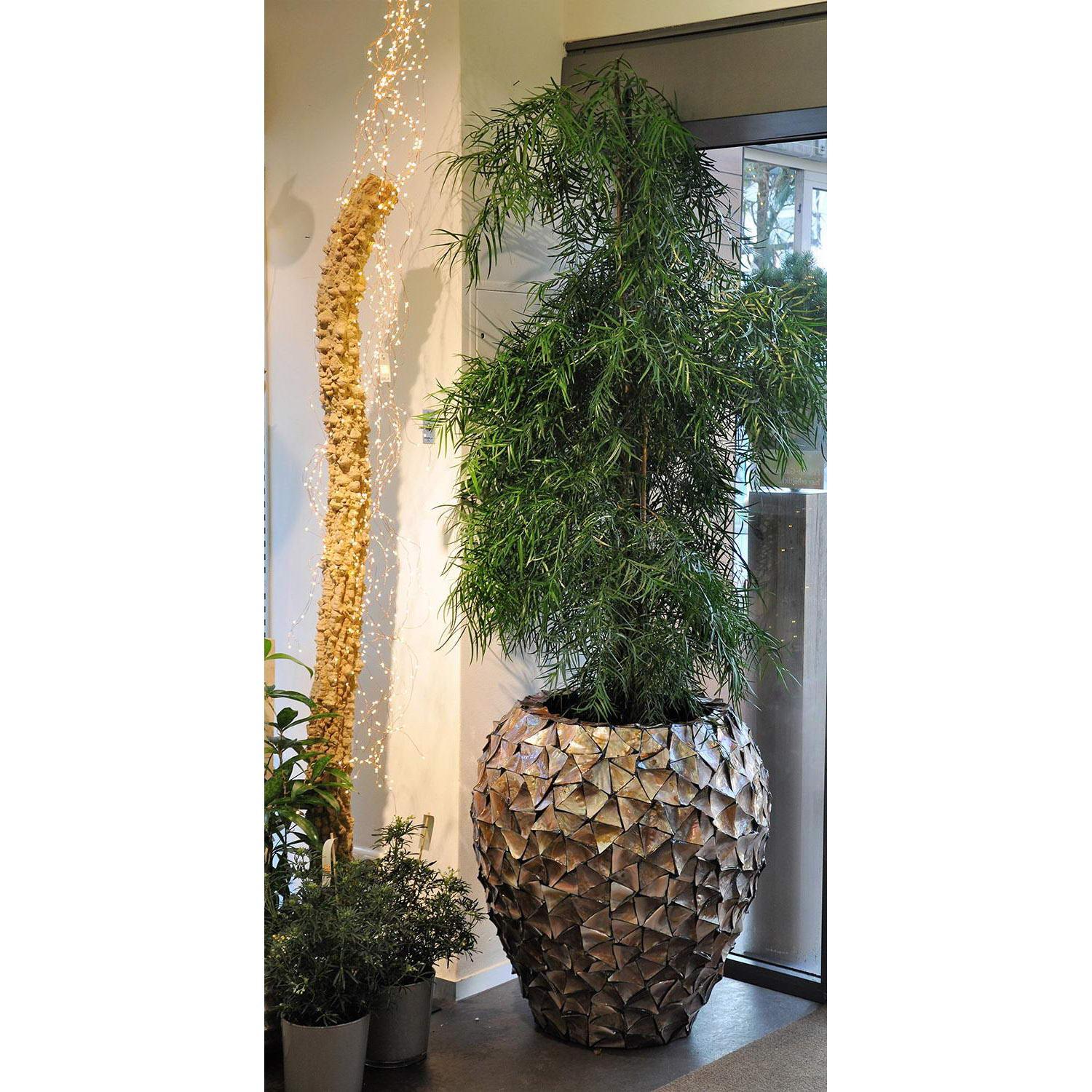 Shell 80 Round Tall Polystone Indoor Planter