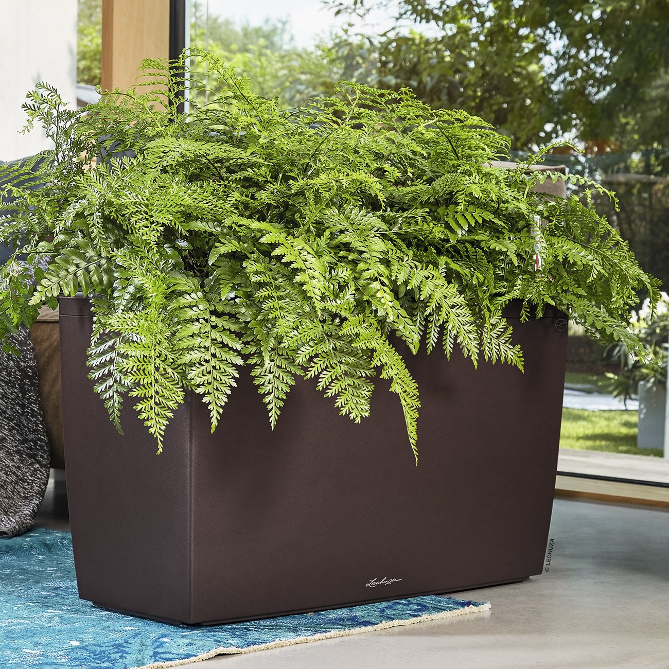 LECHUZA CARARO Trough Poly Resin Self-watering Planter
