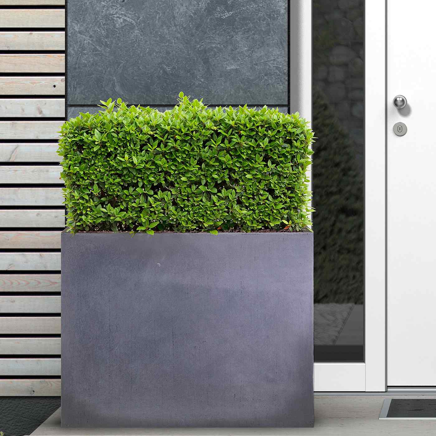 IDEALIST Lite Contemporary Light Concrete Trough Planter Set