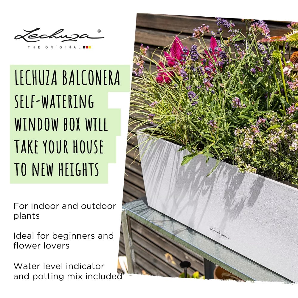 LECHUZA BALCONERA Stone Trough Poly Resin Self-watering Planter