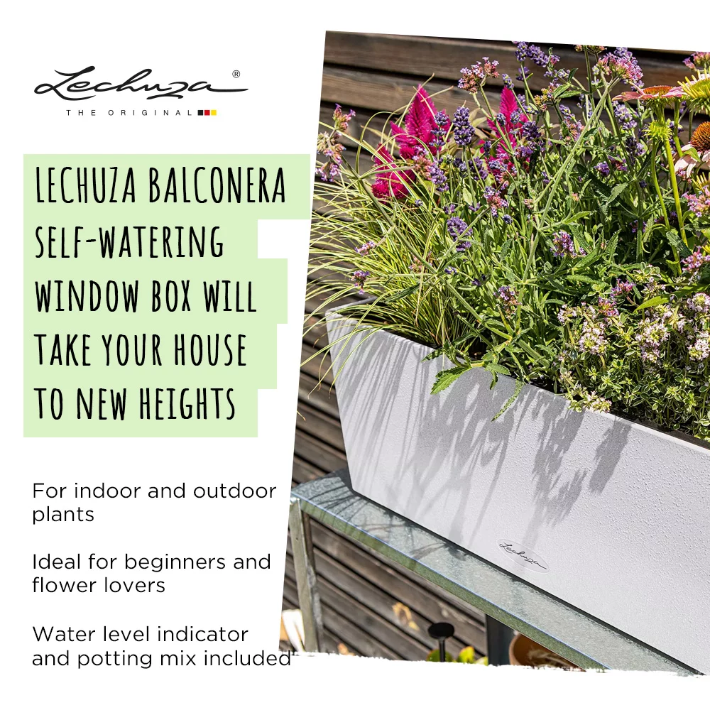 LECHUZA BALCONERA Stone Trough Poly Resin Self-watering Planter
