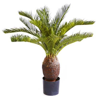 Cycas Palm Artificial Tree Plant