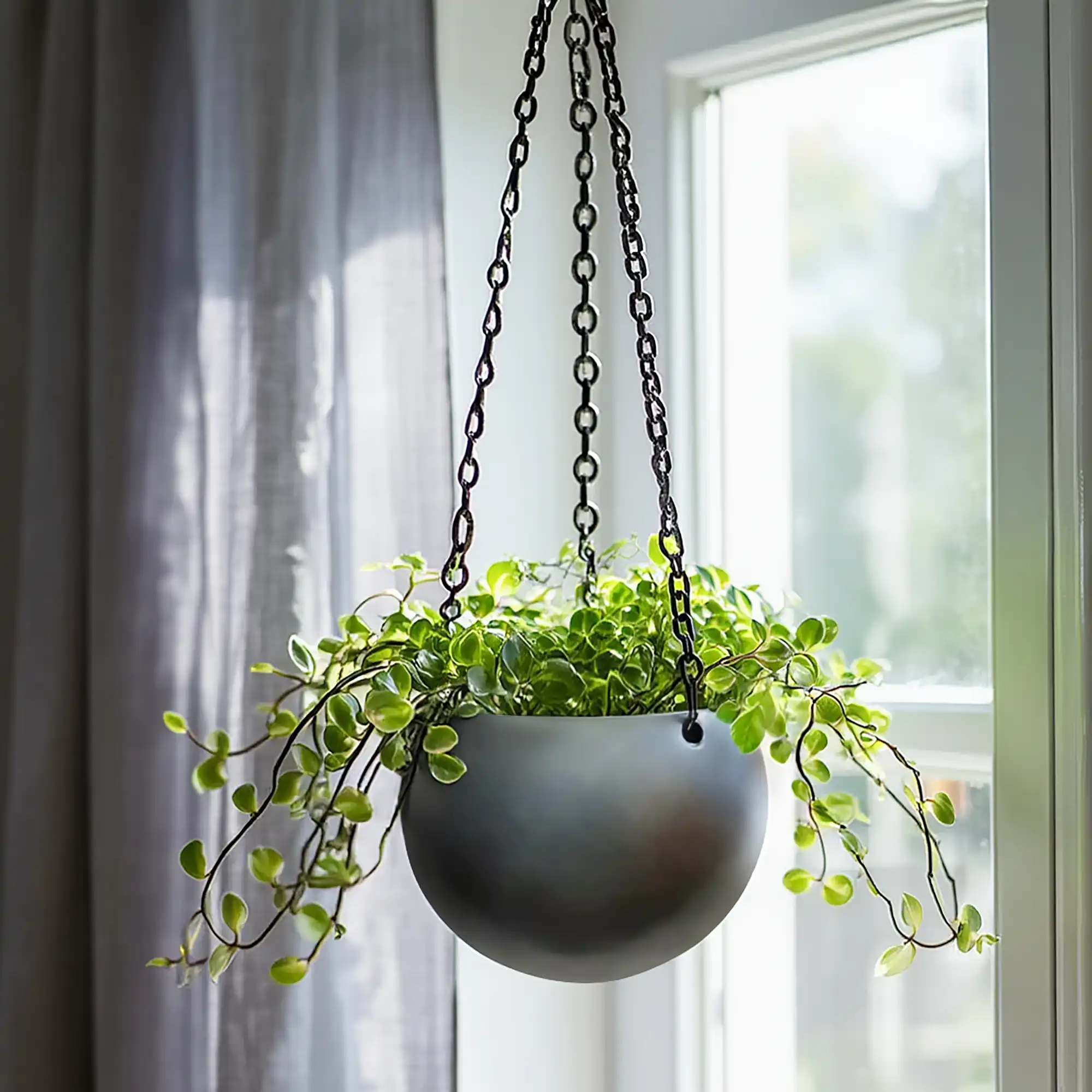 Gradient Hanging Globe Matt Coffee D24 H19 cm Planter