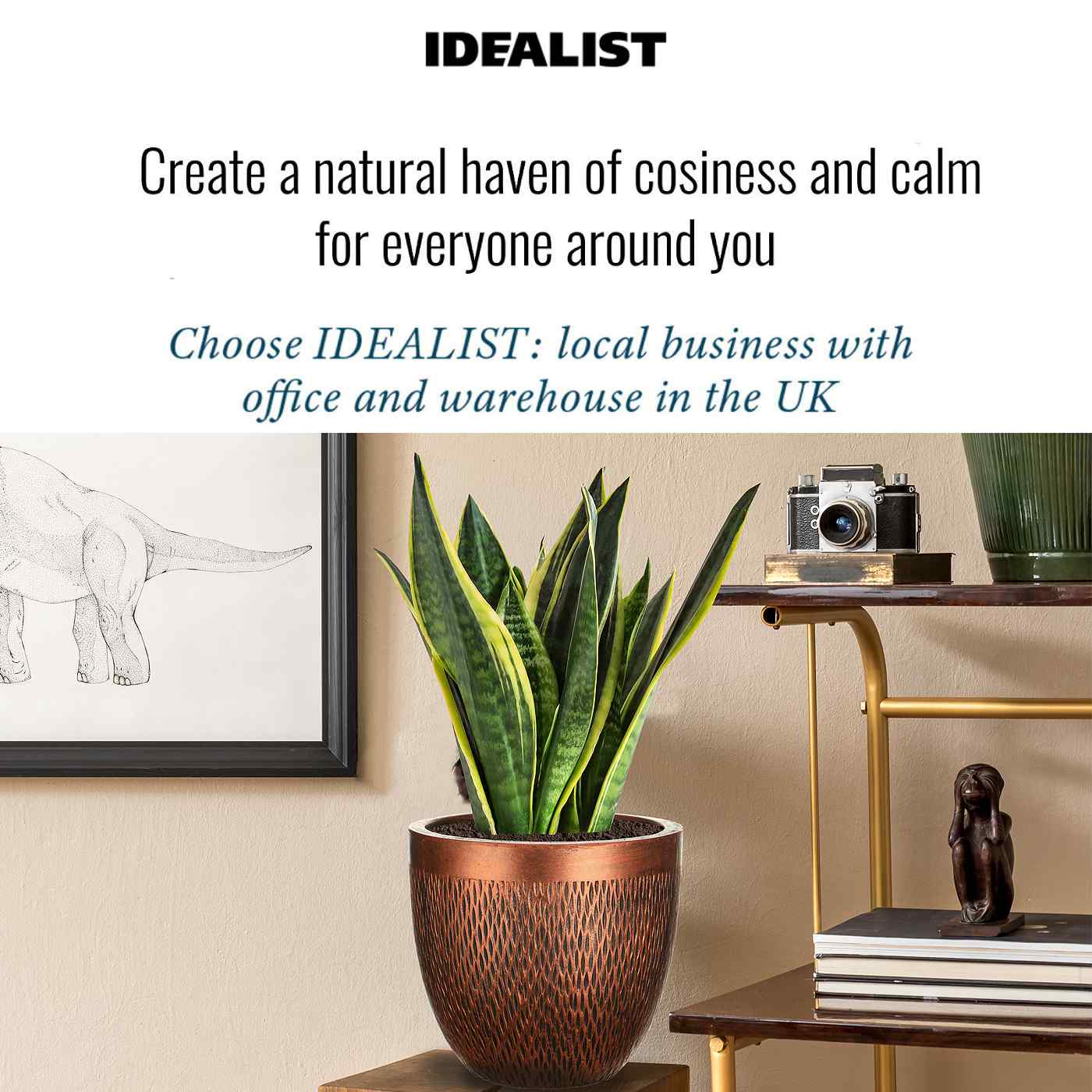 IDEALIST Lite Mesh Style Round Indoor Planter