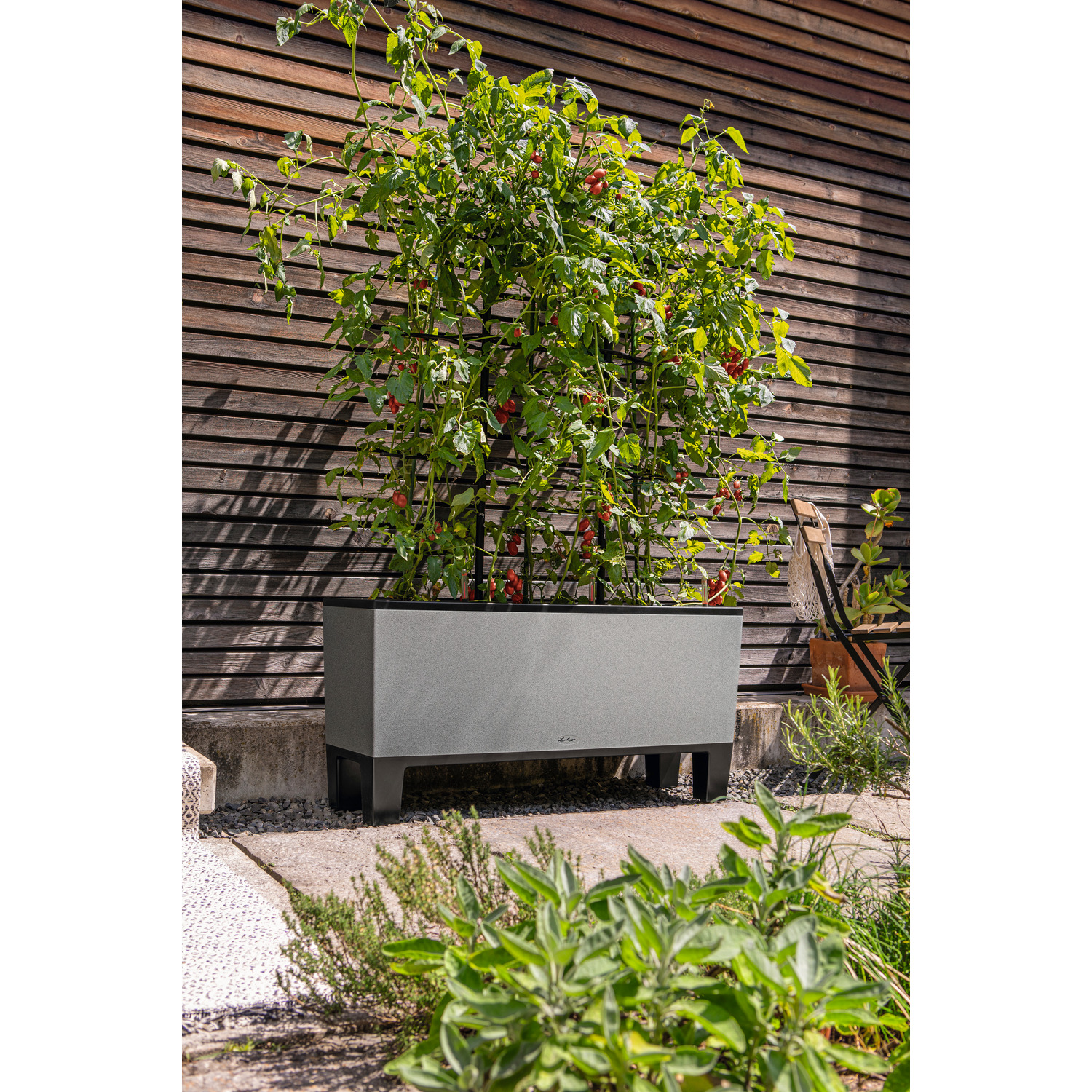 LECHUZA TRIO Stone Trough Poly Resin Self-watering Planter