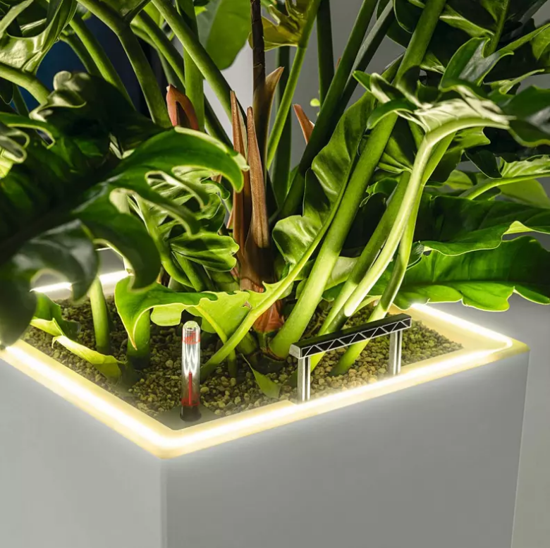 LECHUZA CANTO Premium Low LED Square Poly Resin Self-watering Planter