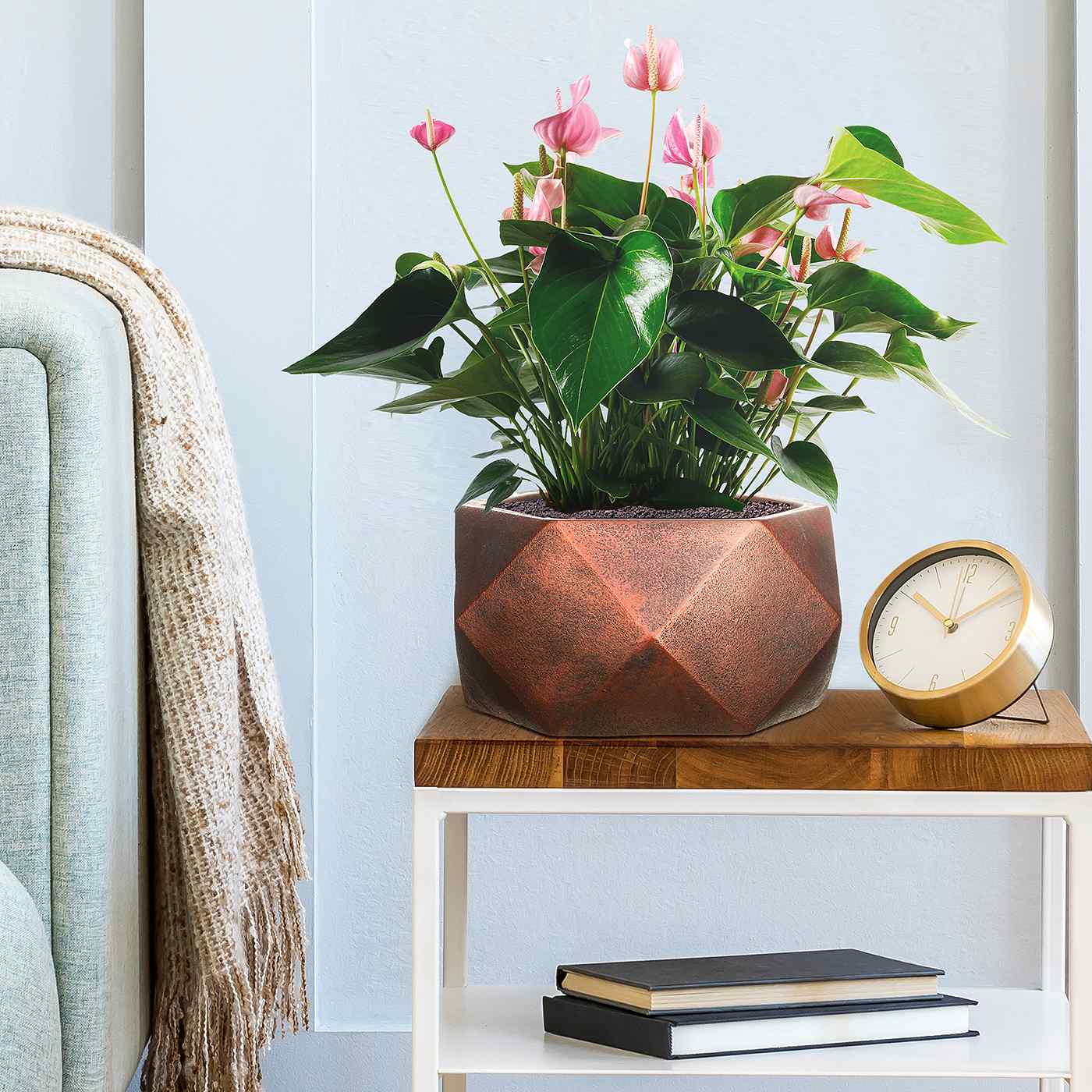 IDEALIST Lite Faceted Effect Bronze Bowl Planter Indoor Plant Pot