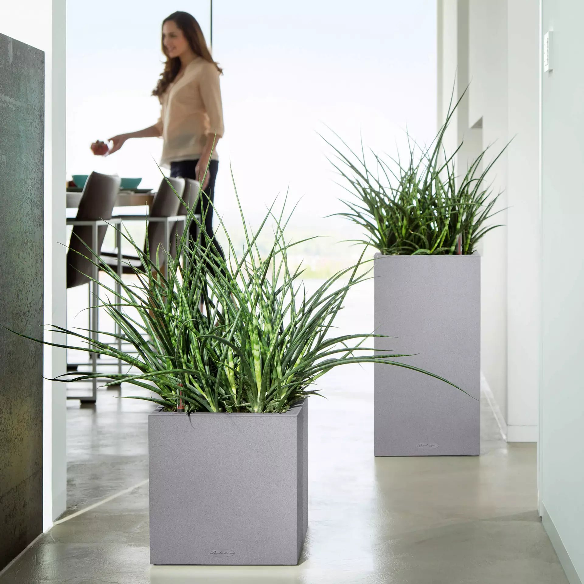 LECHUZA CANTO Stone Low Square Poly Resin Self-watering Planter