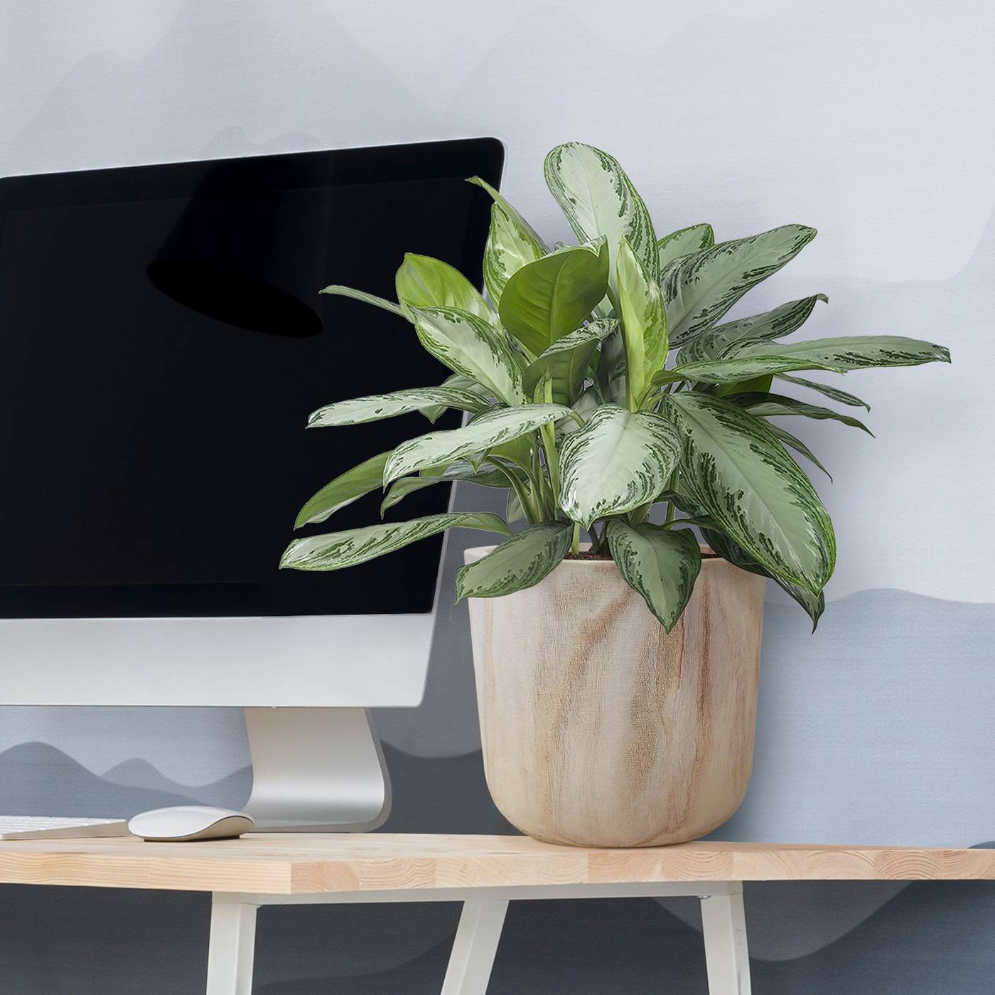 HORTICO CRAFT Wooden House Planter Round Indoor Plant Pot for House Plants with Waterproof Liner