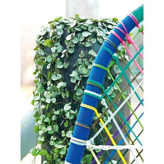 LOFT Tall Polystone Planter