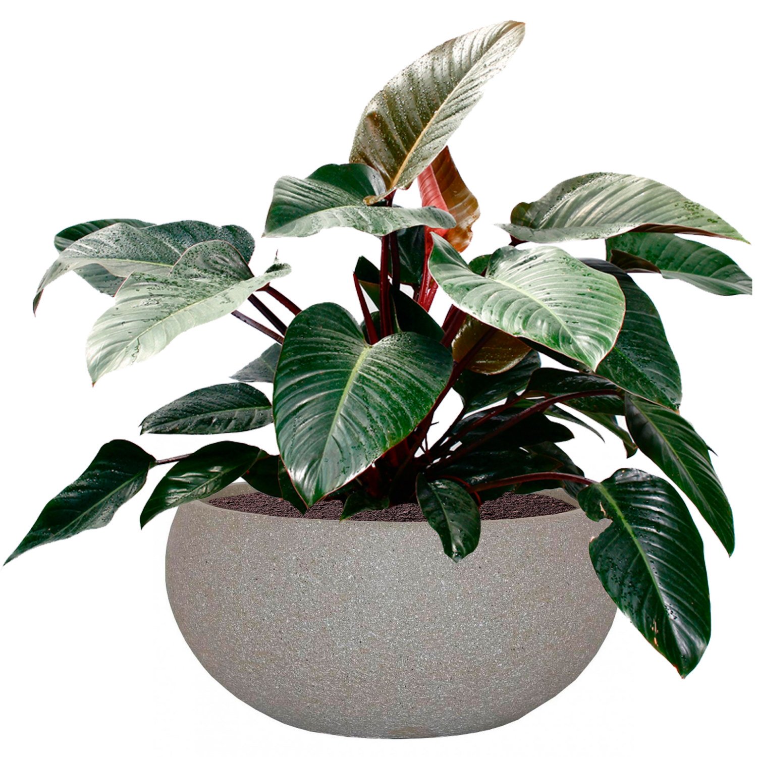 IDEALIST Lite Textured Concrete Effect Bowl Outdoor Planter