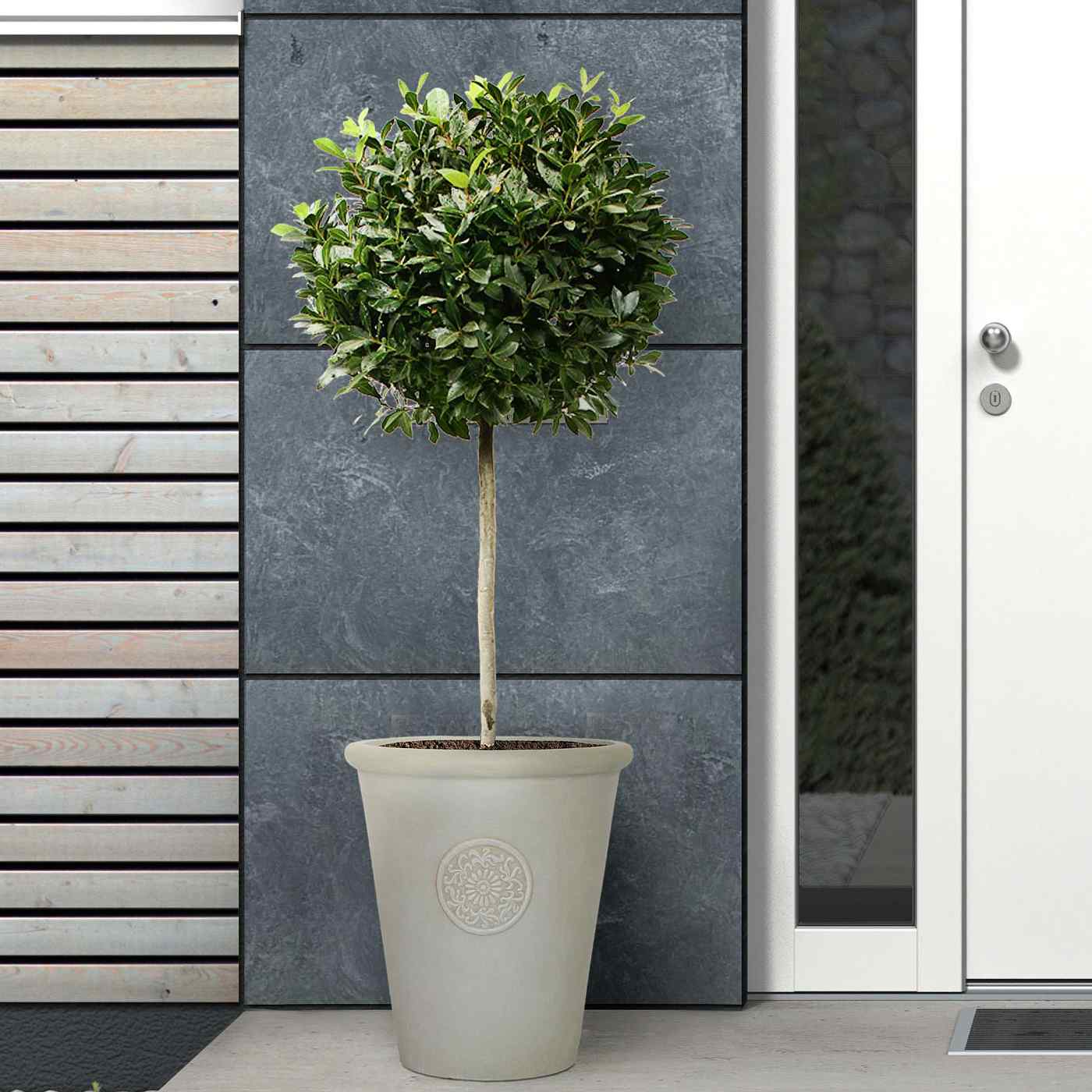 IDEALIST Lite Rustic Style Rolled Rim Vase Outdoor Planter