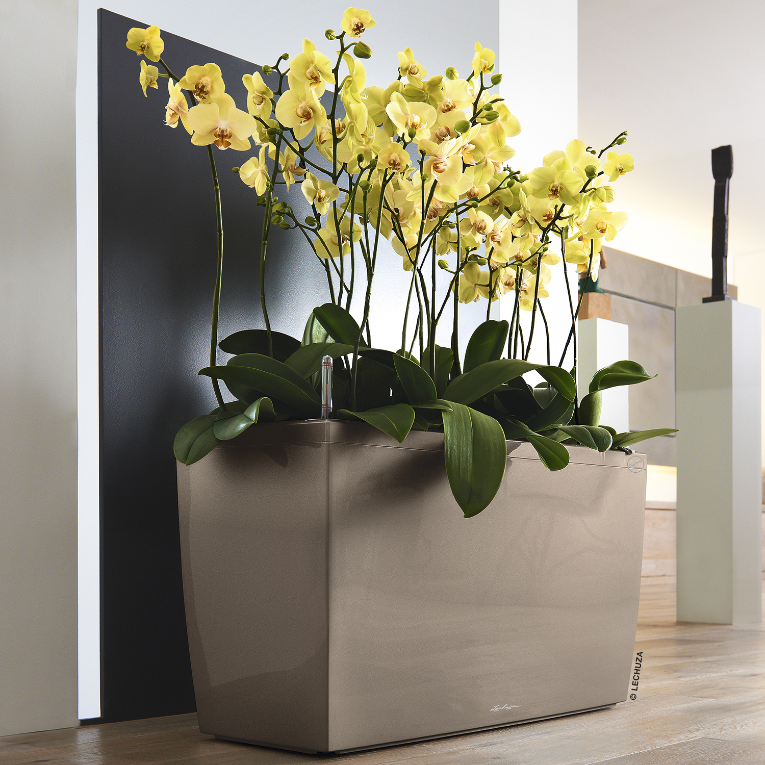 LECHUZA CARARO Trough Poly Resin Self-watering Planter