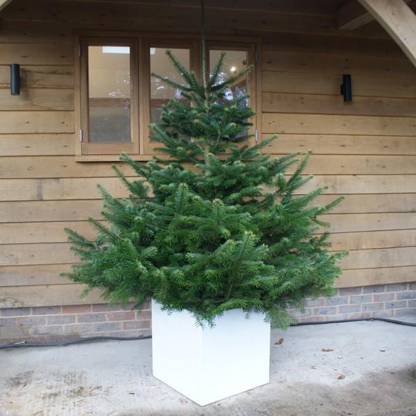 Square Fiberstone Planter by Idealist Premium