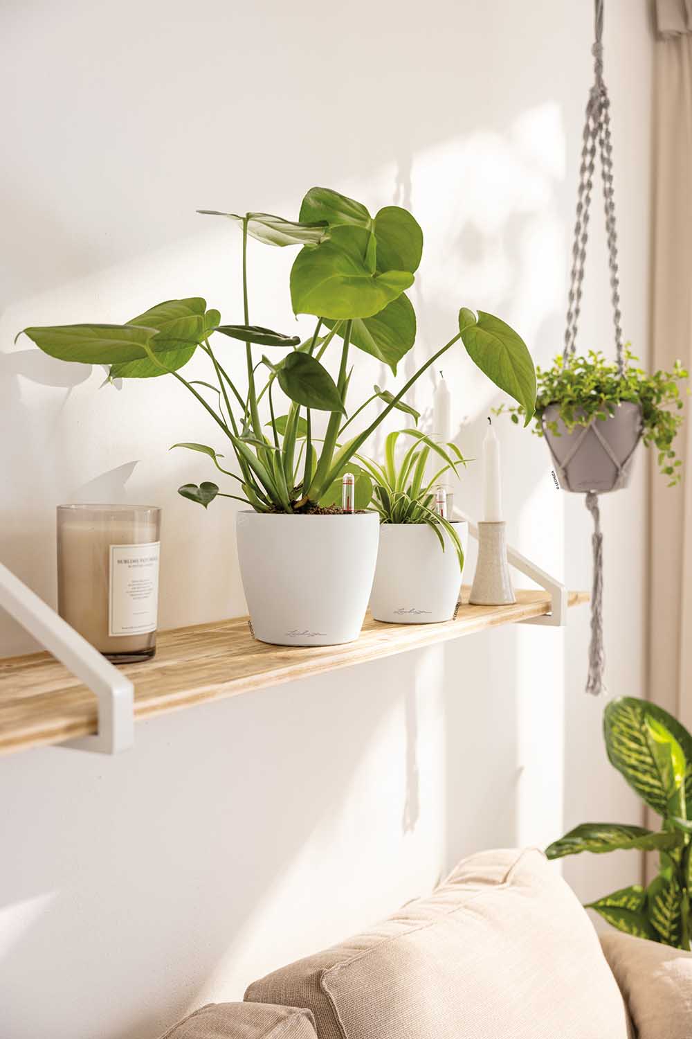LECHUZA CLASSICO Color Round Poly Resin Self-watering Planter