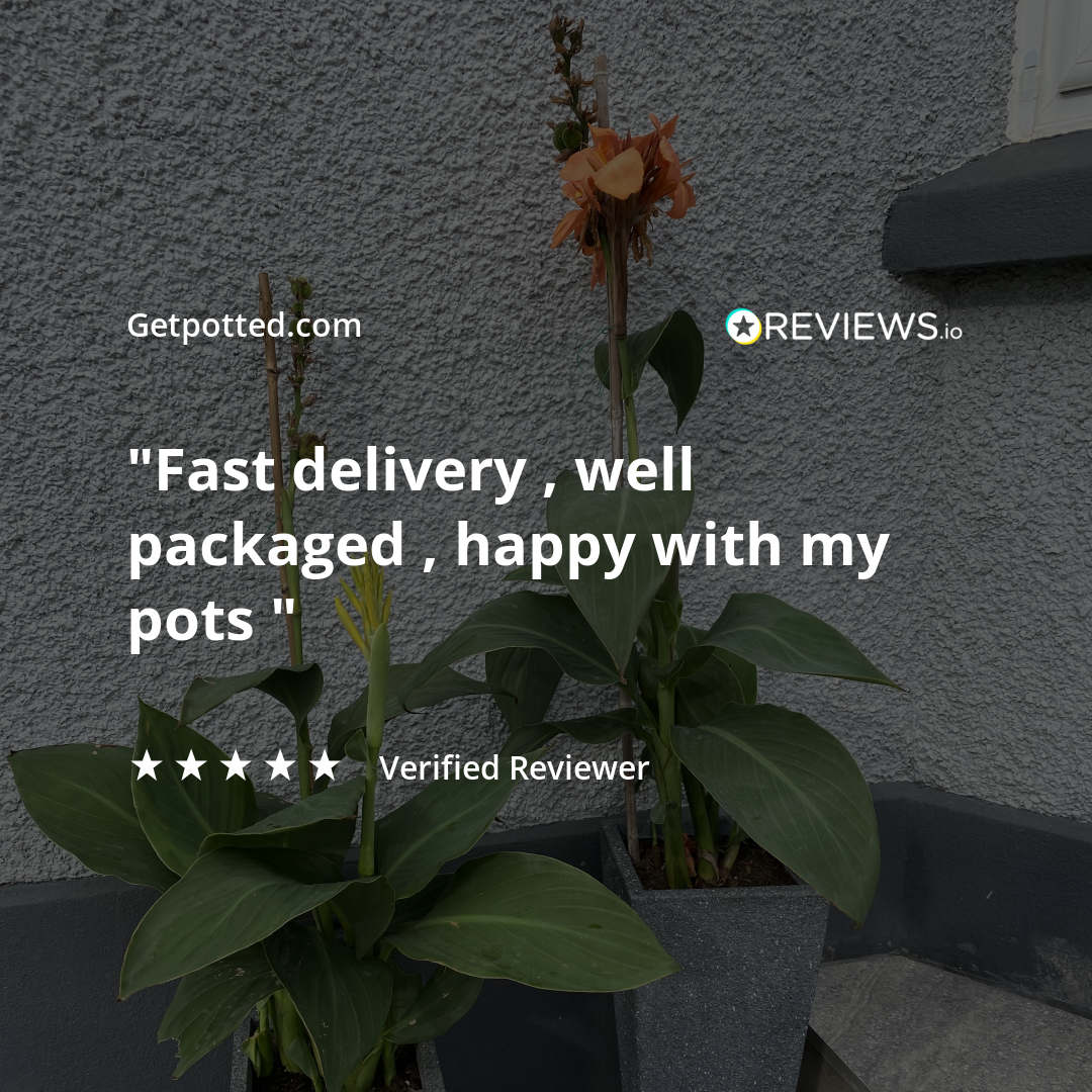 IDEALIST Lite Textured Concrete Effect Tall Tapered Outdoor Planter