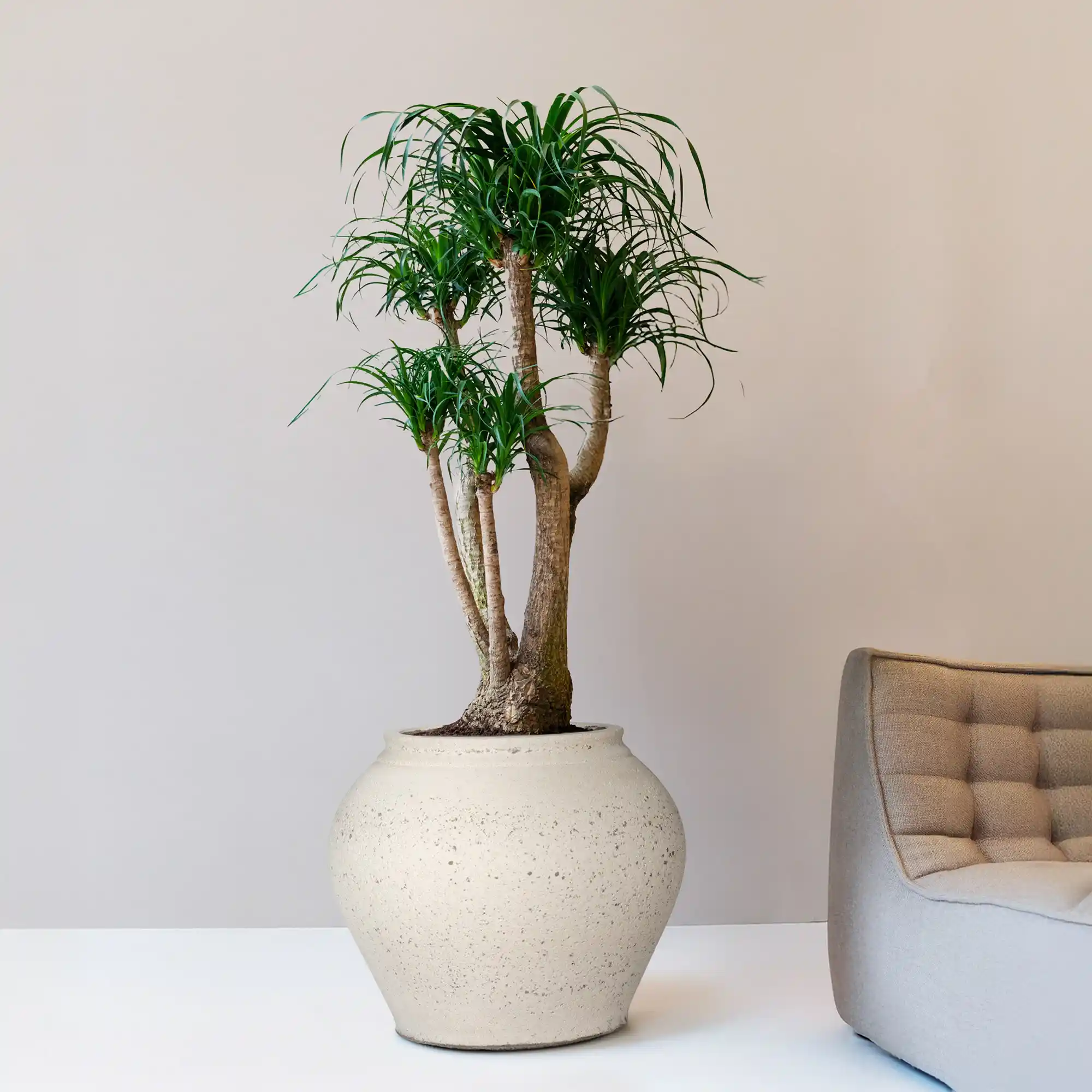 Mediterranean Ficonstone Planter | Indoor and Outdoor Plant Pot Zeus Vase