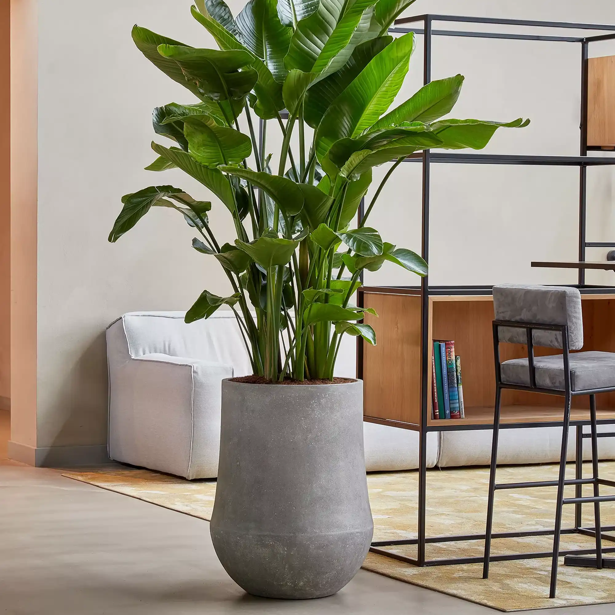 Polystone Planter | Tapered Round Indoor and Outdoor Plant Pot 
