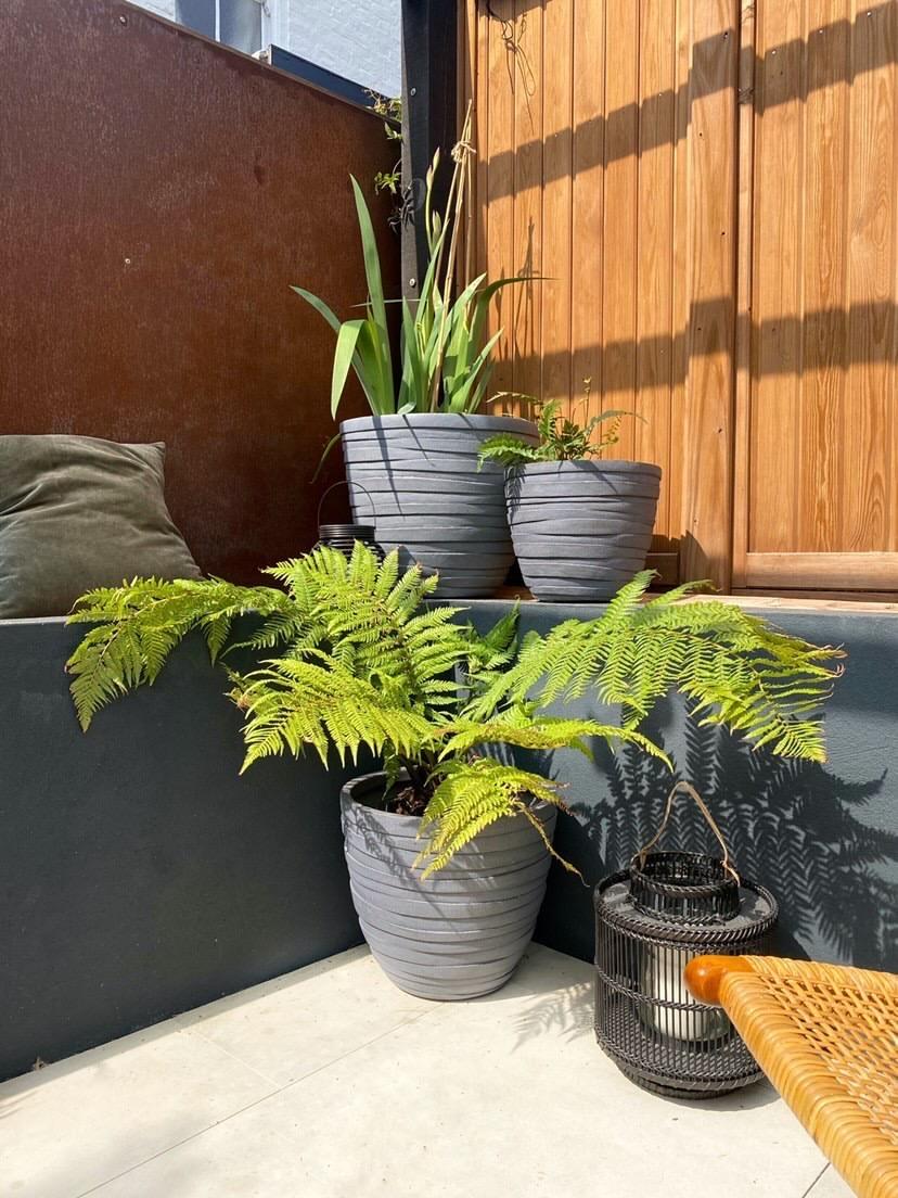 IDEALIST Lite Row Light Concrete Egg Planter