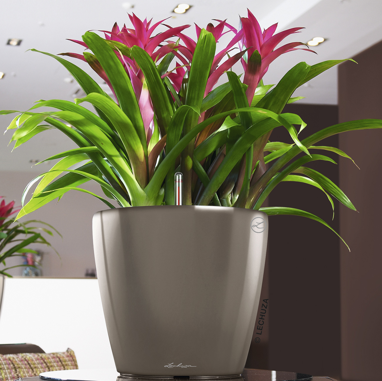 LECHUZA CLASSICO LS Round Poly Resin Self-watering Planter